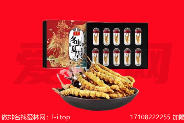 官渡区回收虫草.jpg